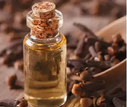 Clove Bud Oil