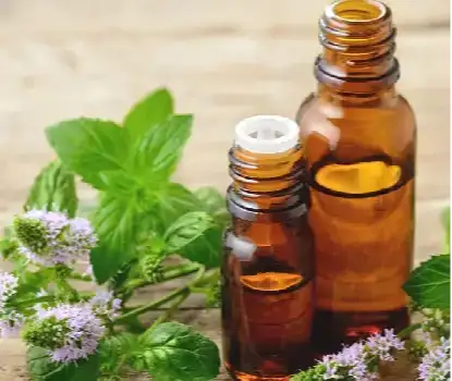 Peppermint  Oil