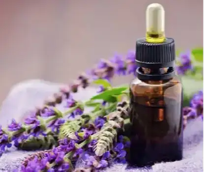 Clary Sage Oil