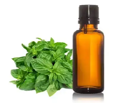 Basil Oil