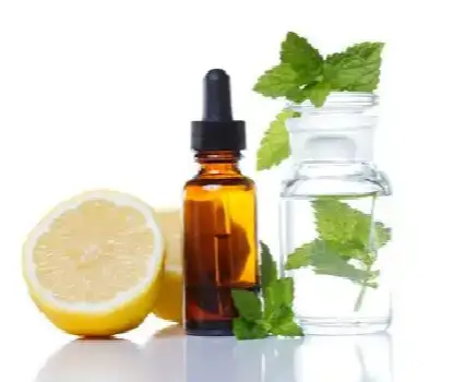 Lemon Balm Oil