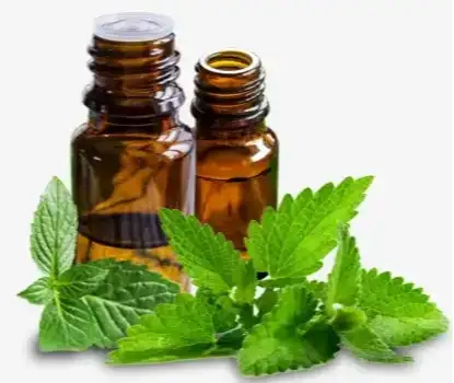 Peppermint Oil